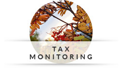 Tax Monitoring